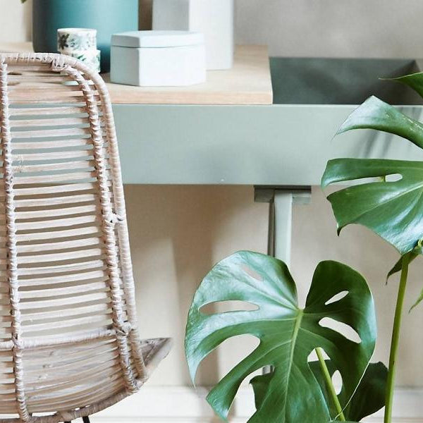 Ratanul, un material retro intr-o viziune contemporana