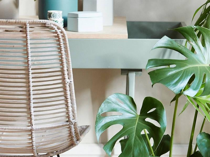 Ratanul, un material retro intr-o viziune contemporana