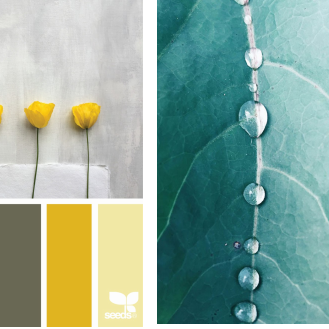 Cum sa aduci culoare in casa ta