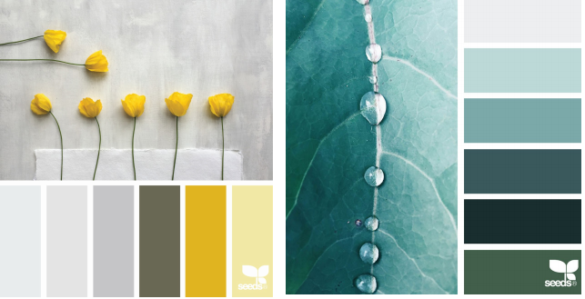 Cum sa aduci culoare in casa ta