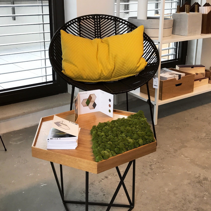 Despre ZAIN și design scandinav
