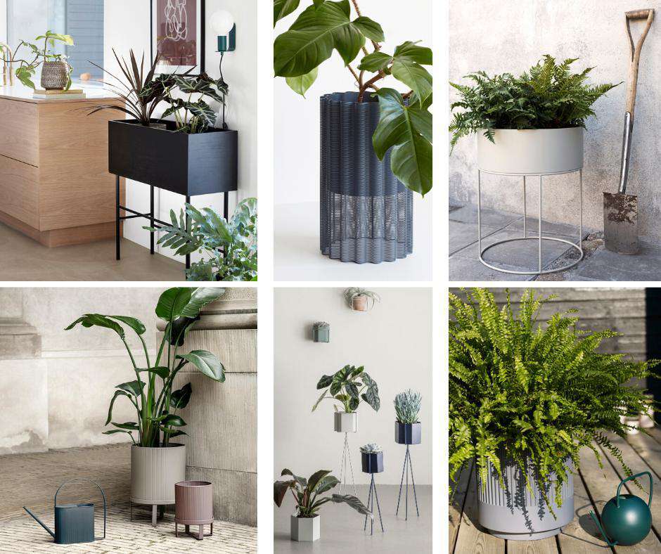 Green Oasis NordaShop