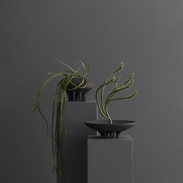 Tavă Medusa Mini