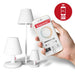 Lampa de Podea EDISON THE GIANT Gri Antracit 182 cm FATBOY