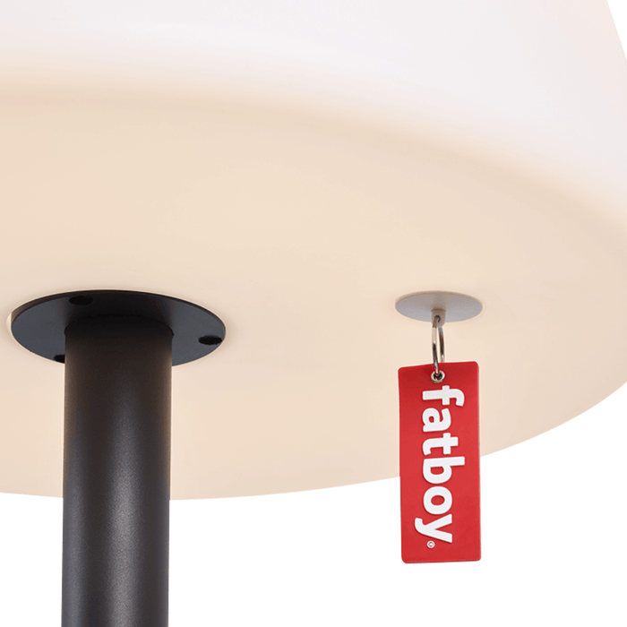 Lampa de Podea EDISON THE GIANT Gri Antracit 182 cm FATBOY