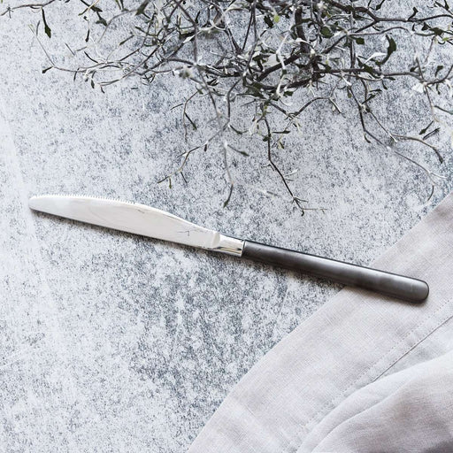 Cutit de Inox House Doctor