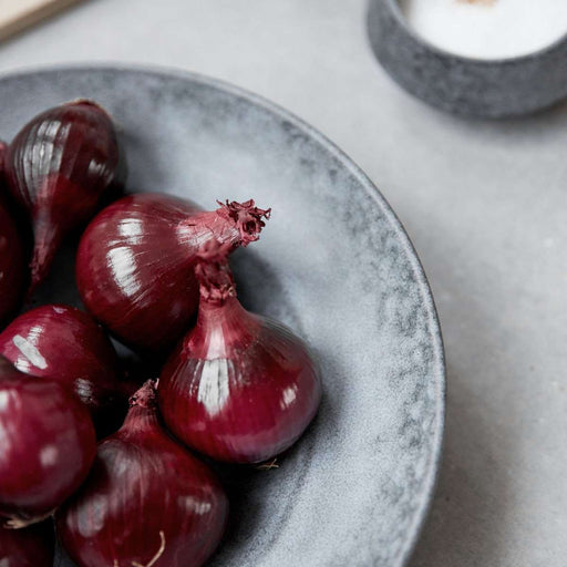 Farfurie Adanca pentru Paste House Doctor