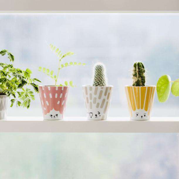 Cana cu Fata Prietenoasa Roz Pastel HOUSE OF RYM