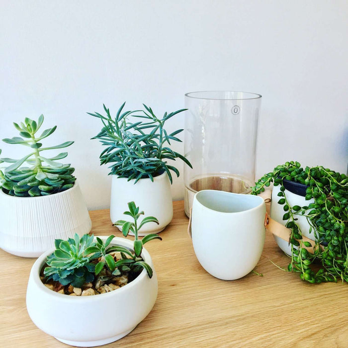 Felinar cu Baza de Lemn HUBSCH 