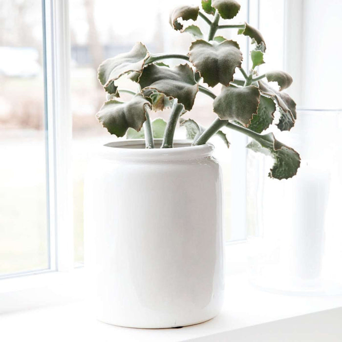 Ghiveci Portelan Alb