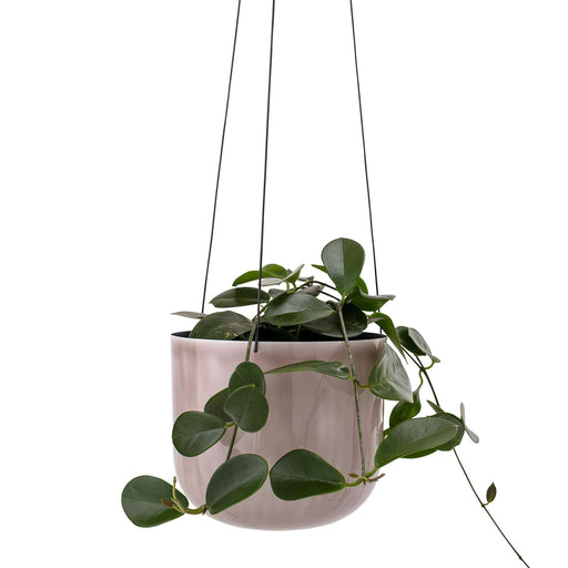 Ghiveci Suspendat Maro Bloomingville