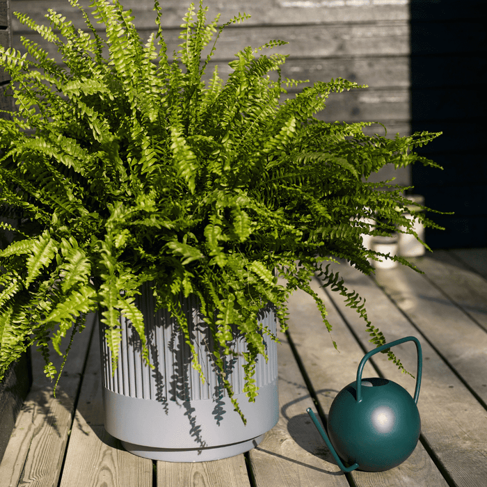 Stropitoare din Metal Verde Hubsch